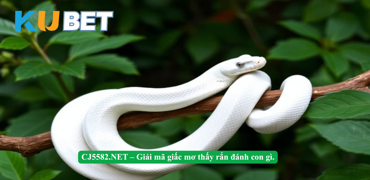 Trong phong thủy, rắn tượng trưng cho quyền lực