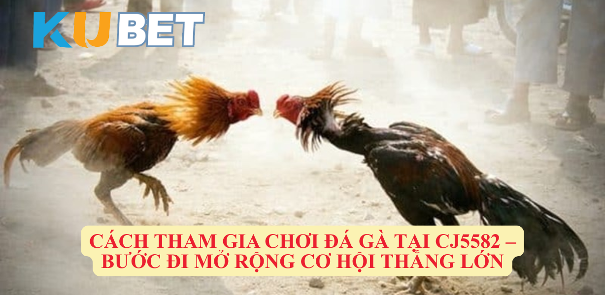 Giới Thiệu Đá Gà Kubet – Truyền Thống Hòa Quyện Với Công Nghệ Hiện Đại