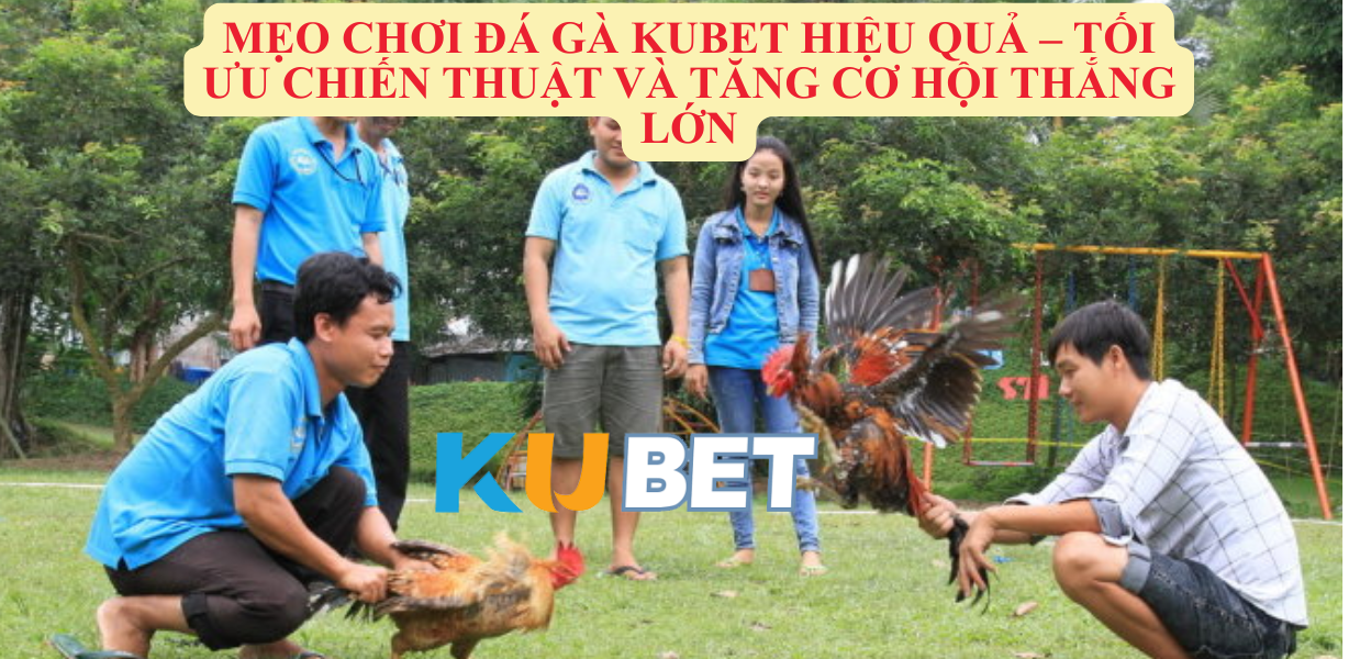 Luật Chơi Đá Gà Kubet – Tăng Cơ Hội Thắng Nhờ Hiểu Rõ Quy Định
