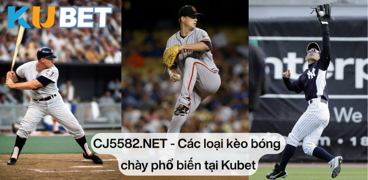 Vì sao bóng chày trở thành bộ môn cá cược hấp dẫn?