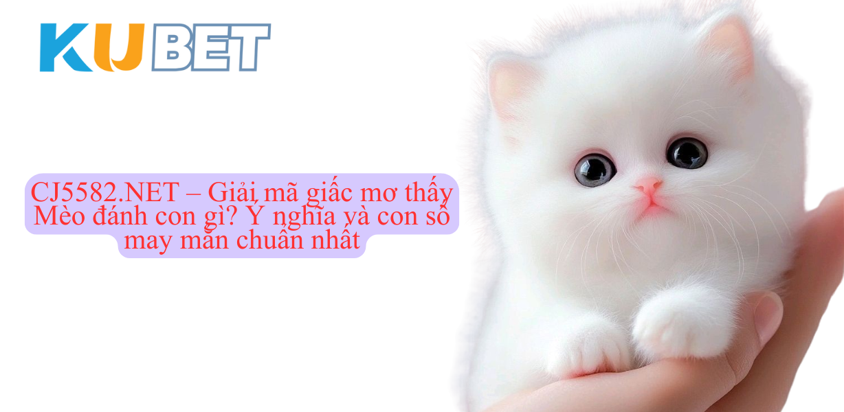 CJ5582.NET – Giải mã giấc mơ thấy Mèo đánh con gì? Ý nghĩa và con số may mắn chuẩn nhất