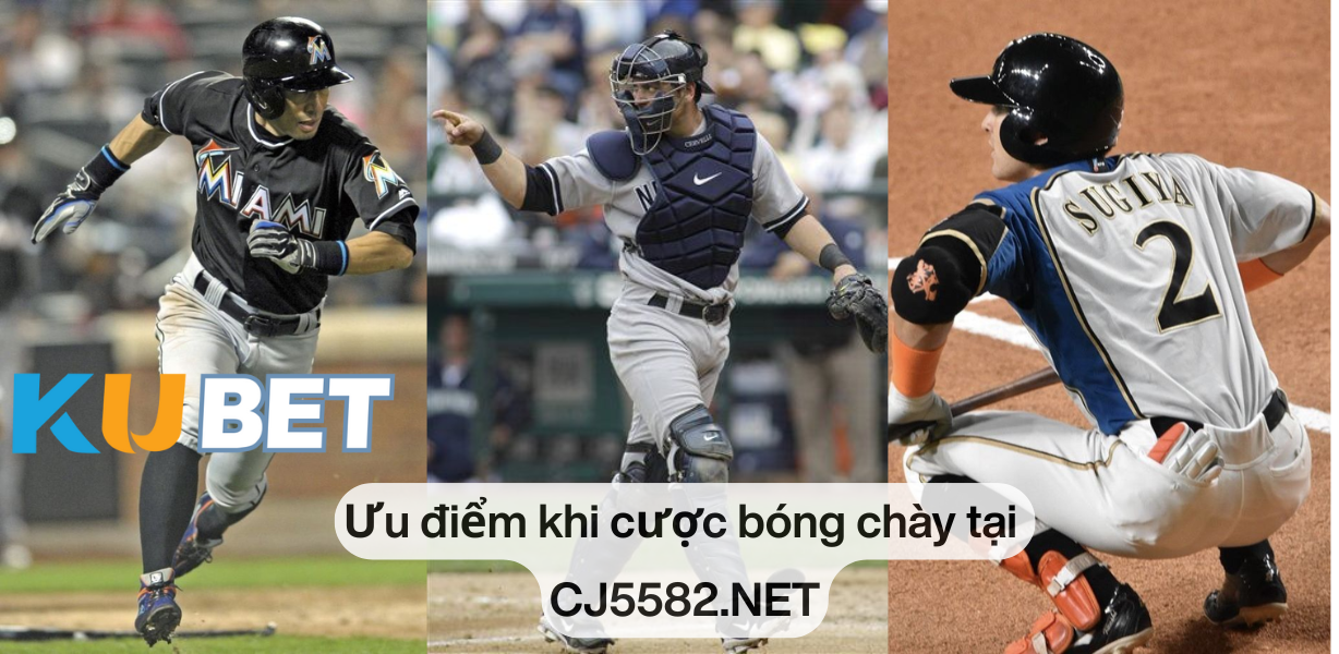 Kinh nghiệm cược bóng chày cho tân thủ