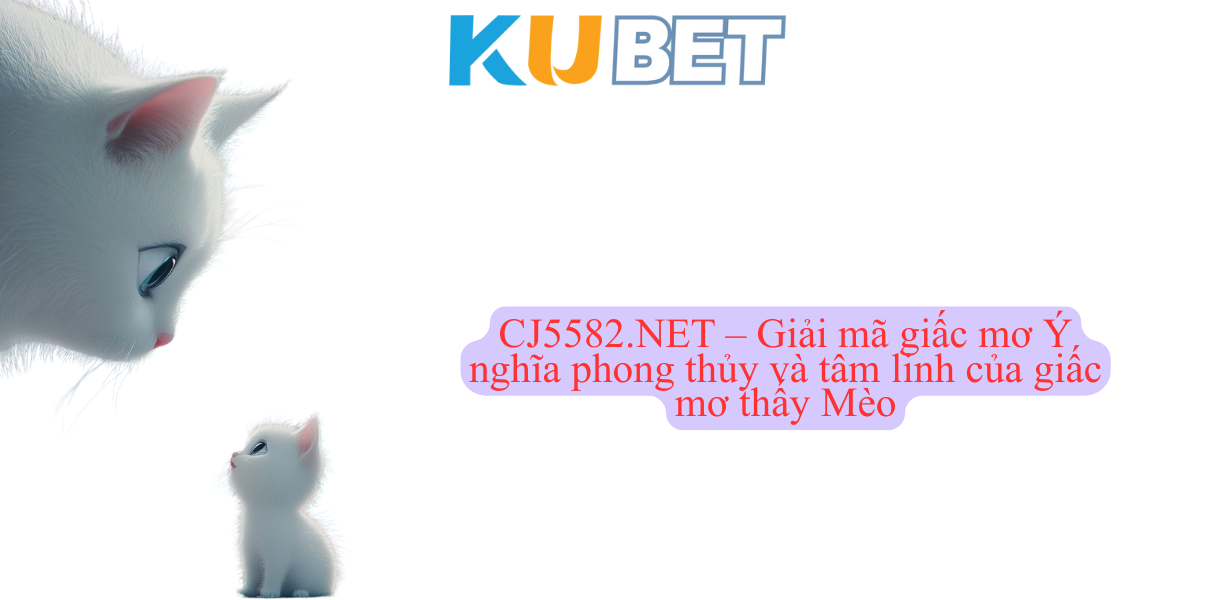 Giải mã chi tiết từng trường hợp mơ thấy Mèo