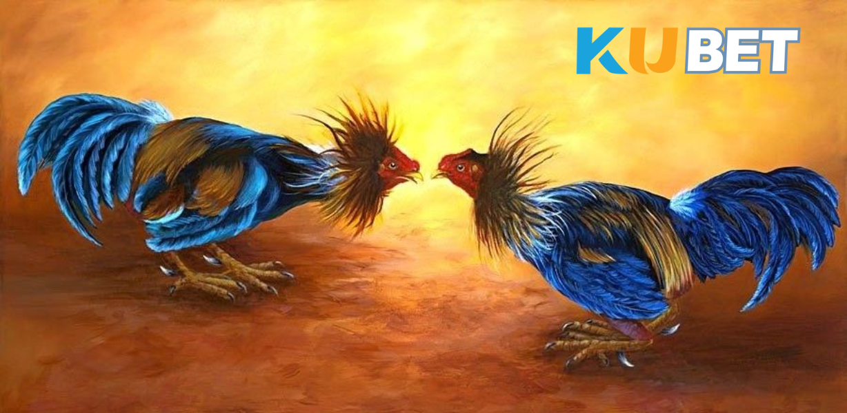 CJ5582.NET – Review top trận đá gà đỉnh cao trong tuần: Những trải nghiệm không thể bỏ lỡ