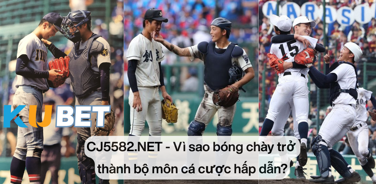 Ưu điểm khi cược bóng chày tại CJ5582.NET