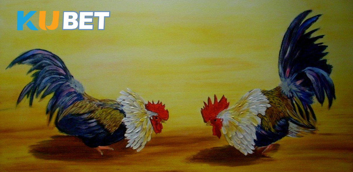 Trận gà nòi Việt Nam vs gà Thái